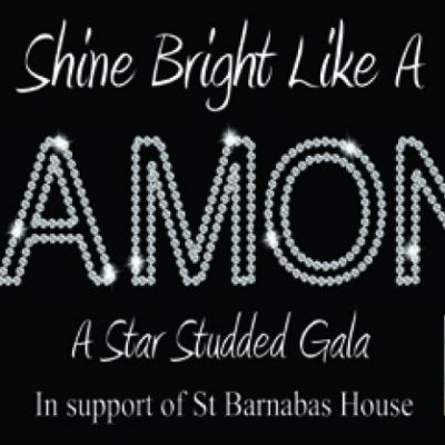 Shine Bright Like A Diamond | Pavilion Theatre Worthing Worthing | Sun 20th October 2013 Lineup