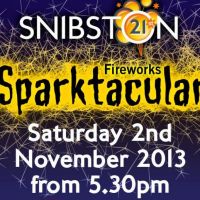 Snibston Fireworks Sparktacular at Snibston Discovery Museum