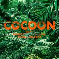 Cocoon Ibiza