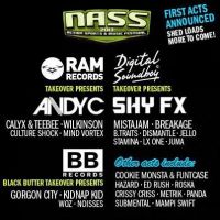 Nass Festival 2013 at Bath And West Show Ground