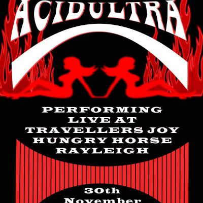 ACIDULTRA | The Travellers Joy Rayleigh | Sat 30th November 2013 Lineup