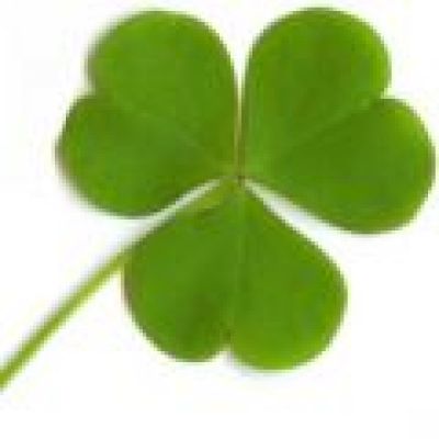 The Irish Sessions | The Talking Heads Southampton | Sun 22nd July 2012 Lineup