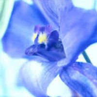 The Indulgence Fayre, Mind, Body & Soul Event at Volunteer Hall, Galashiels
