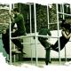 Motionhouse: Captive