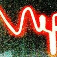 Mellowtone presents artists from THE VIPER LABEL at The Palmhouse, Sefton Park