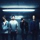 The 1975 The 1975
