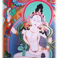 Tsewong Rinpoche - Tibetan Healing An Introductory Talk at King Alfred School